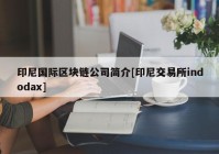 印尼国际区块链公司简介[印尼交易所indodax]